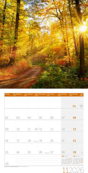 Actual product image Traumpfade Kalender 2026 - 30x30 (30 x 30 cm)