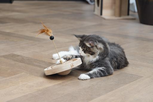 Image du produit Designed by Lotte Winni (Jouets avec herbe à chat)