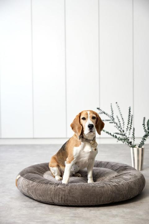 Immagine prodotto Palopa Ciambella da letto per cani (Cane)