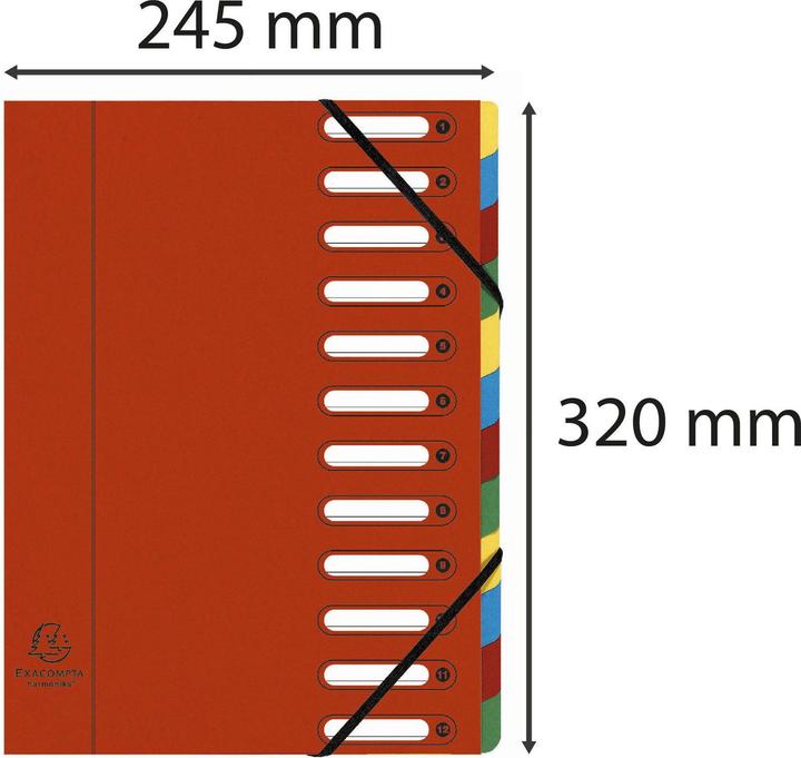 Produktbild Exacompta HARMONIKA - Ordnungsmappen A4 (A4, 1x)