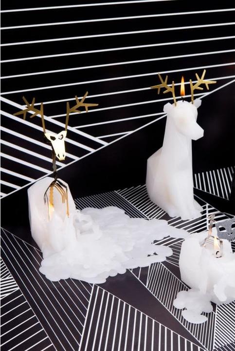 Image du produit 54Celsius PyroPet Dyri (1 pcs)