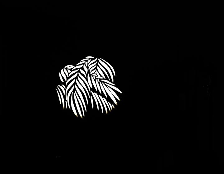Image du produit Nanlite Gobo Set 2 pour embout de projection FM Mount