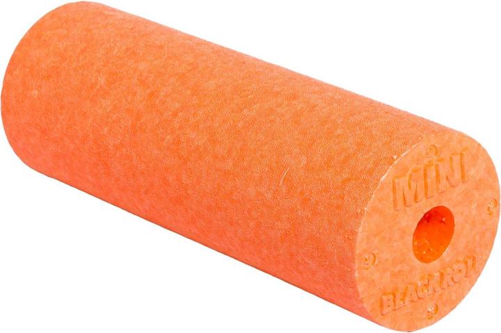 Produktbild Blackroll Mini