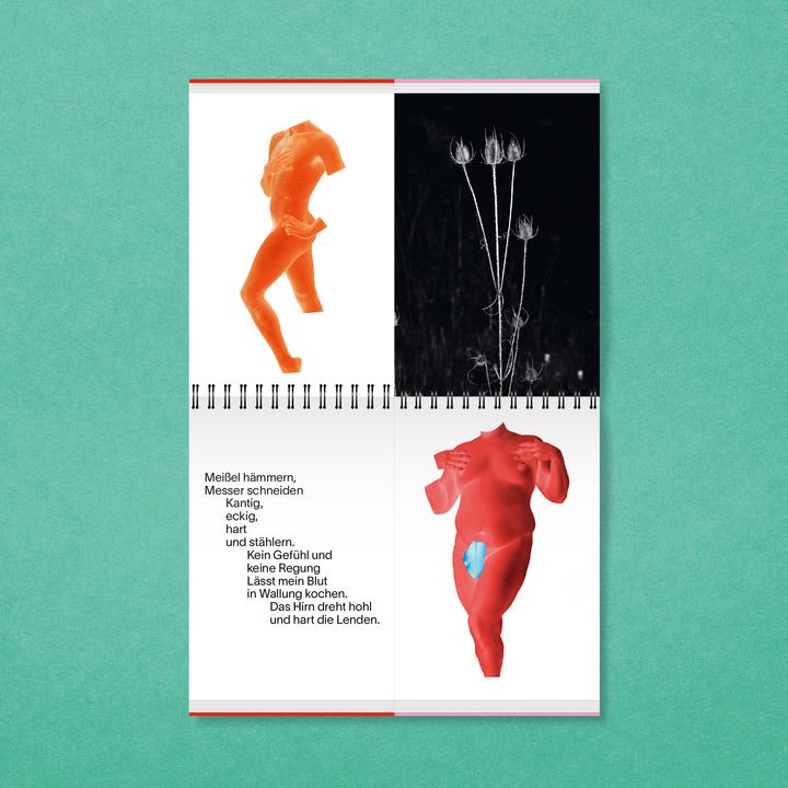 Actual product image the beauty & the boys (German, Martin de Crignis, Sarah Goodrum, Philip Jursch, Maria Knaub, 2024)