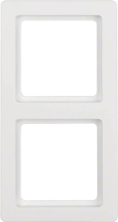 Actual product image Berker Frame