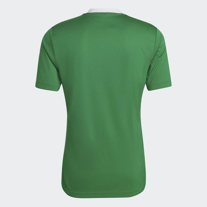 Produktbild adidas Entrada 22 Fussballtrikot Herren (M)