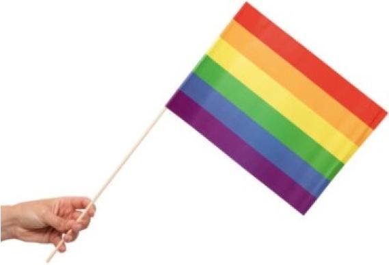 Image du produit Fiesta Papierflaggen Pride 10 Stück (30 x 20 cm)