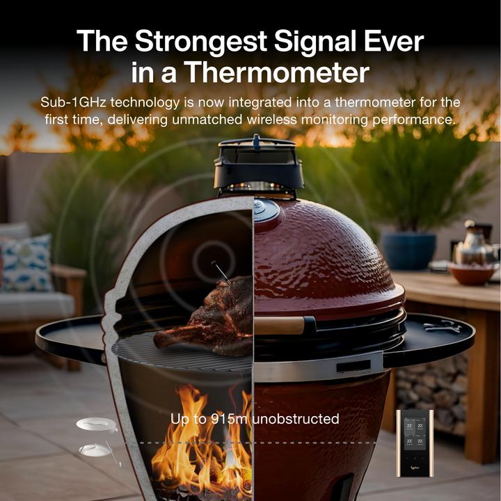 Produktbild Typhur Sync Gold Quad