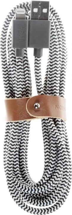 Image du produit Native Union Câble de ceinture (3 m, USB 2.0)
