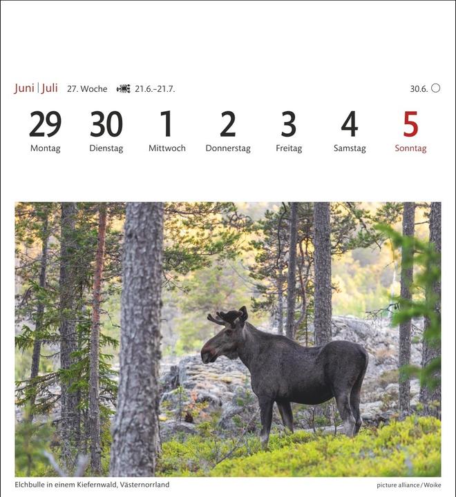 Produktbild Harenberg Schweden Sehnsuchtskalender 2026 - Wochenkalender mit 53 Postkarten