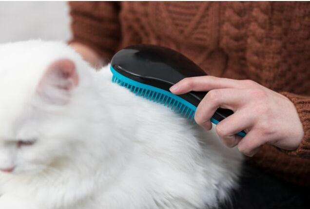 Produktbild Trixie Softbürste (Hund, Katze)