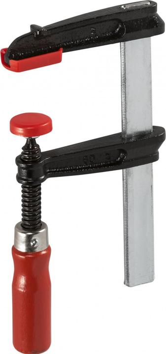 Actual product image Bessey Screw clamp (120 mm)