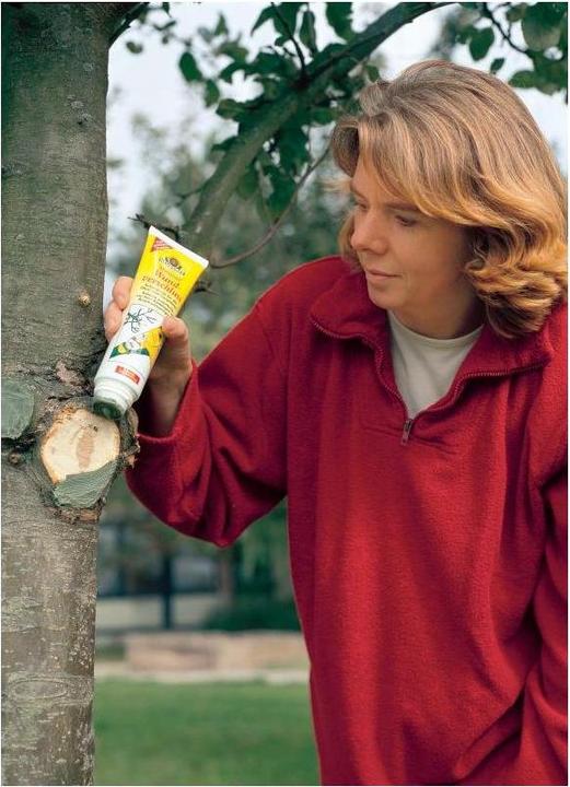 Produktbild Neudorff Malusan Wundverschluss, 250 ml