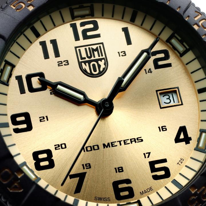 Actual product image Luminox Leatherback Sea Turgle Gian 0320 Series (Diving watch, 44 mm)