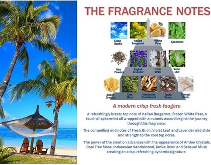 Actual product image Perry Ellis 360° Very Blue - EDT - Volume: 200 ml (Eau de toilette, 200 ml)