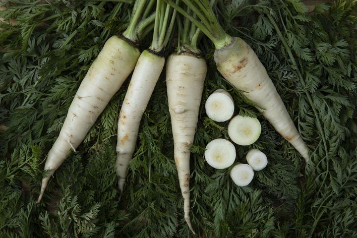 Produktbild Zollinger Bio Karotten, Belgische Riesen (Lagerkarotten) (Gemüsesamen)