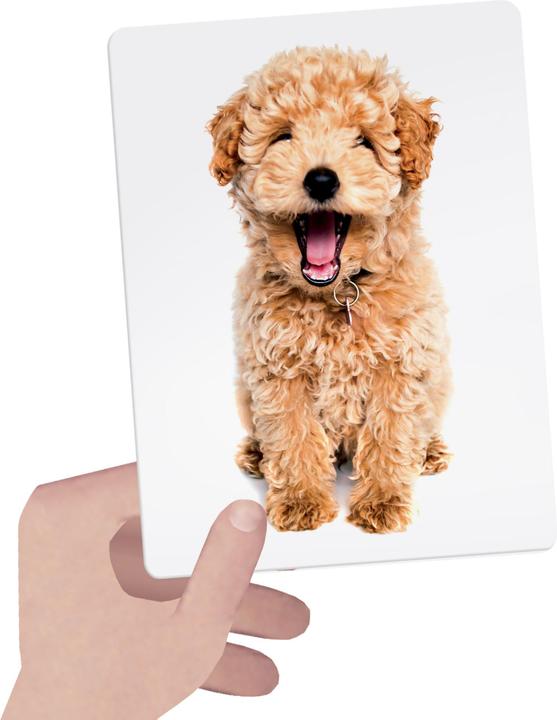 Produktbild Flash Cards Tactile (1 - 4 Jahre)