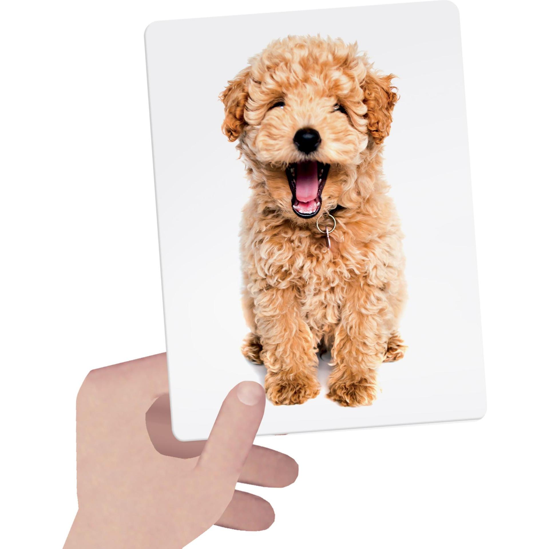 Thumbnail - Headu Flash Cards Tactile
