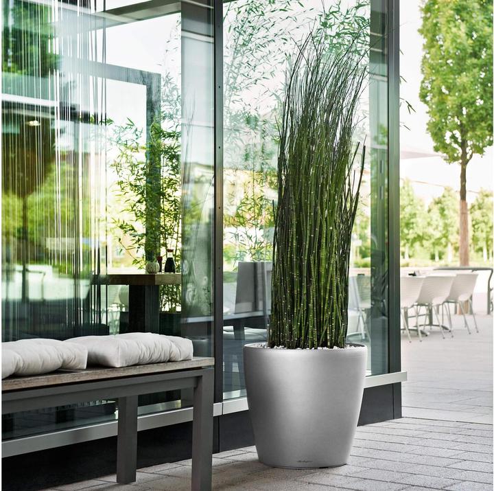 Produktbild Lechuza CLASSICO Premium 60 hochglanz (60 x 55.50 cm)