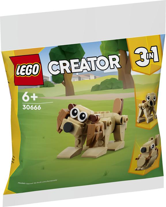 Productafbeelding LEGO 30666 Geschenkset met dieren (30666, LEGO Creator 3-in-1)