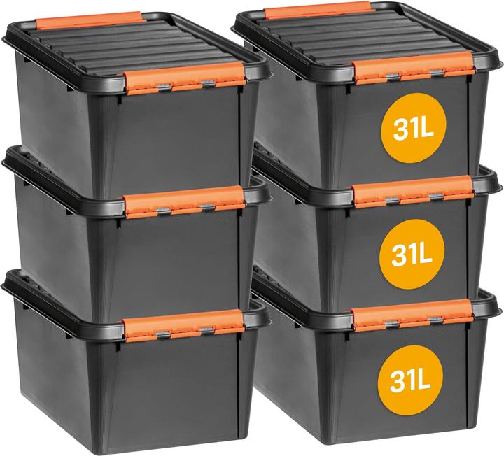 Actual product image Orthex Profi-Box (39 cm, 32 l)