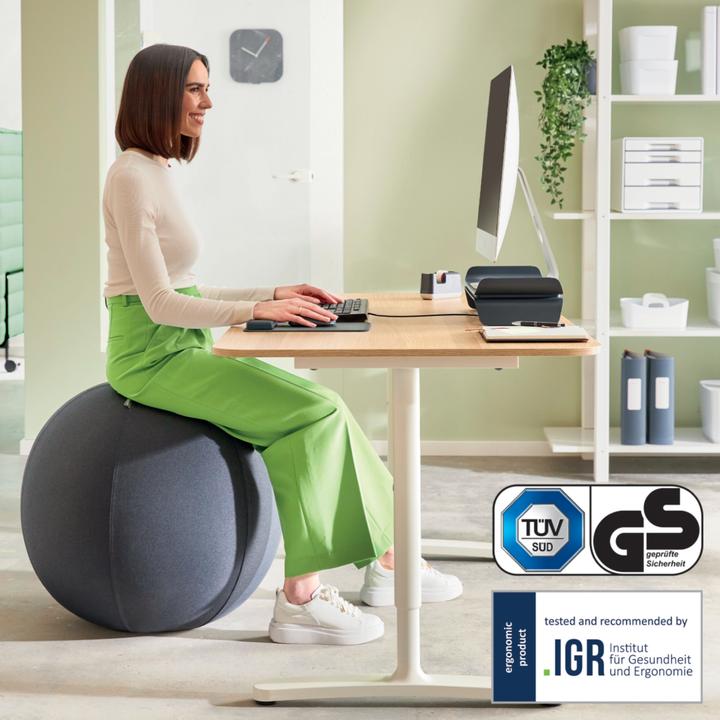 Actual product image Leitz Ergo Active