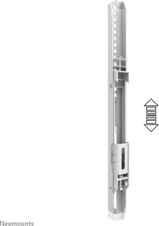 Actual product image Neomounts BOS double screen adapter (Ground, 65")
