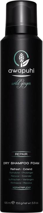 Paul Mitchell Awapuhi Wild Ginger Dry Shampoo Foam (195 ml, Flüssiges Shampoo)