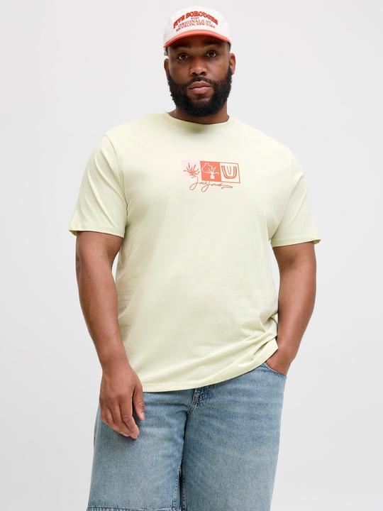 Produktbild Jack & Jones Plus Size T-shirt T-shirt (4XL)