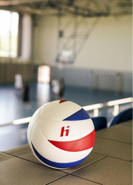 Actual product image Huari Seagulls (5)