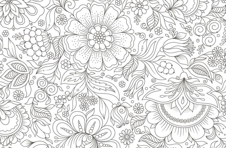 Immagine prodotto Colorful Mandala – Botanischer Garten