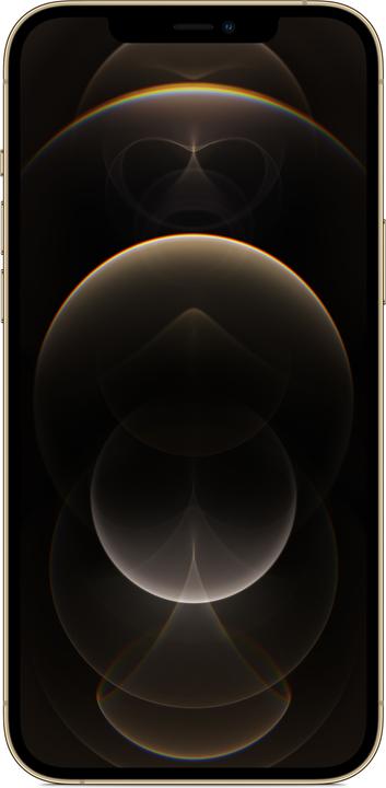 Produktbild Apple iPhone 12 Pro Max (256 GB, Gold, 6.70", SIM + eSIM, 12 Mpx, 5G)