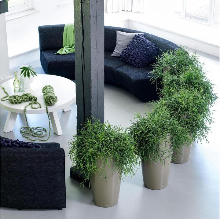 Immagine prodotto Lechuza Rondo (40 x 75 cm)