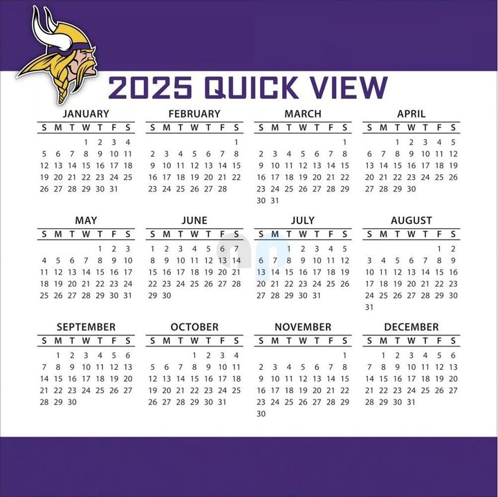 Nutritional values and ingredients NFL - Minnesota Vikings -Desk Calendar 2025 (French, Spanish, Italian, English, German)