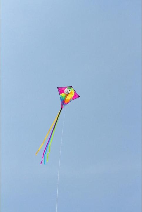 Produktbild Invento Eddy Parrot