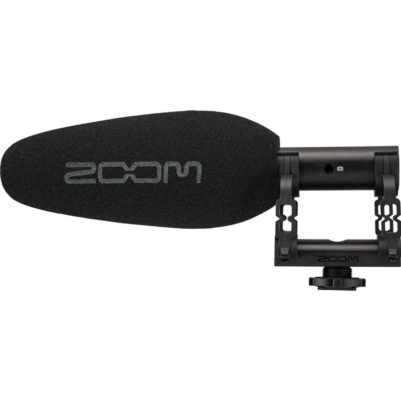 Zoom ZSG-1, Mikrofon