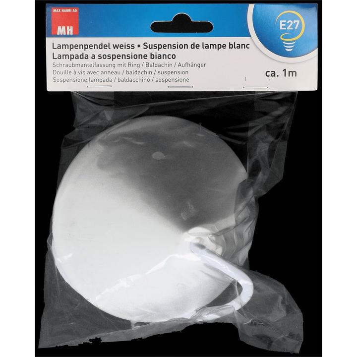 Immagine prodotto Max Hauri Lampenpendel E27