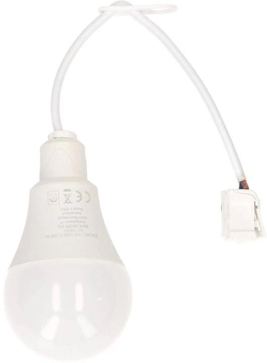 Actual product image Max Hauri Construction site lamp LED with connection cable + plug-in terminal (900 lm)