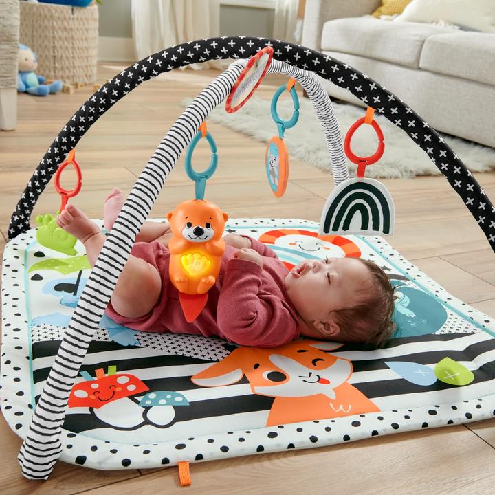 Image du produit Fisher-Price JMN72