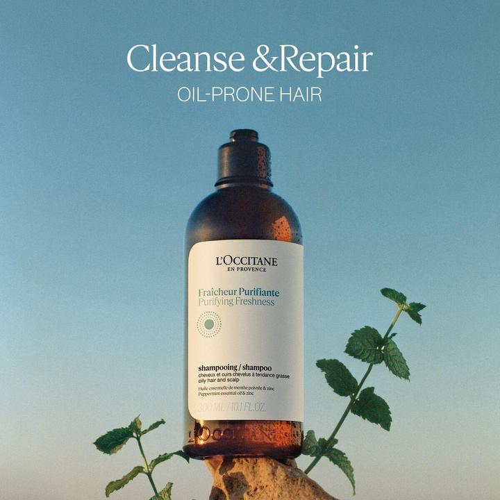 Produktbild L'Occitane Aroma ECO Recharge Shampoo Purifiant (500 ml)