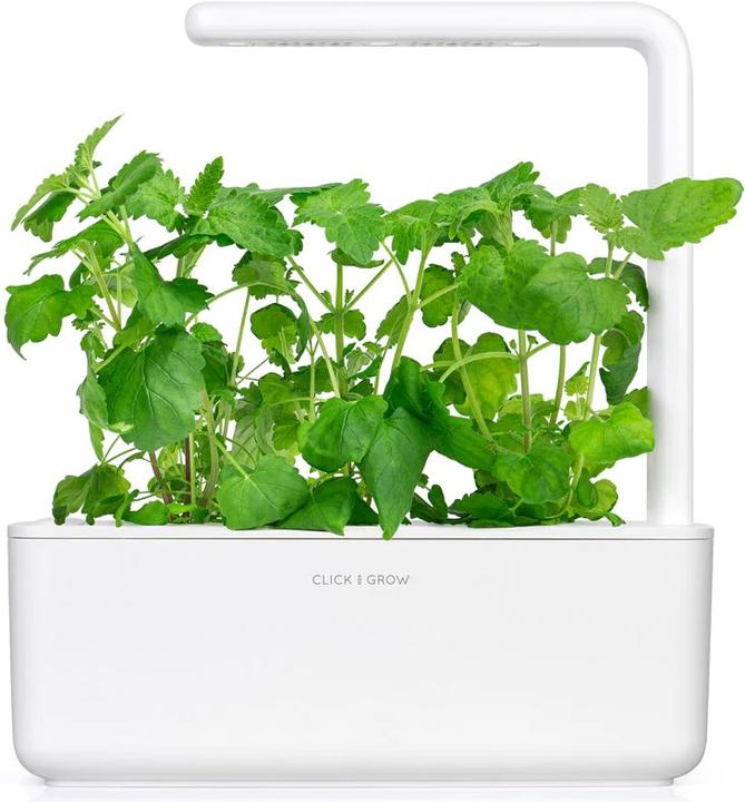 Produktbild Click and Grow Katzenminze (Kräutersamen)