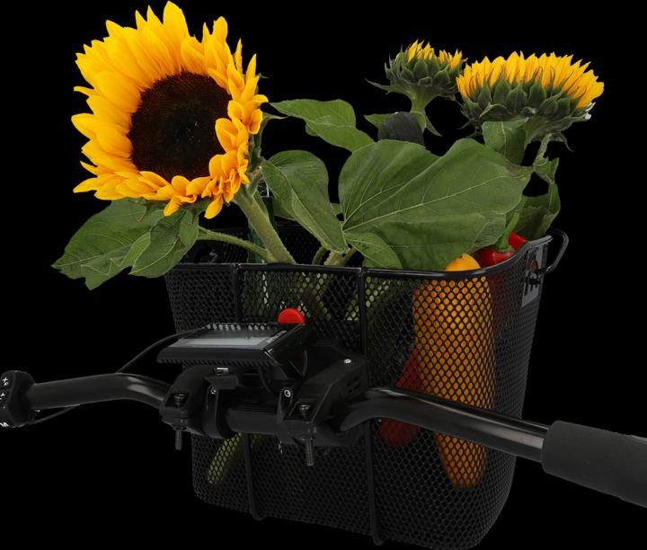 Immagine prodotto Fischer E-Bike (11 l)