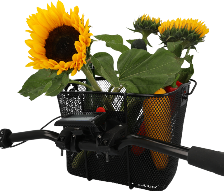 Produktbild Fischer E-Bike (11 l)