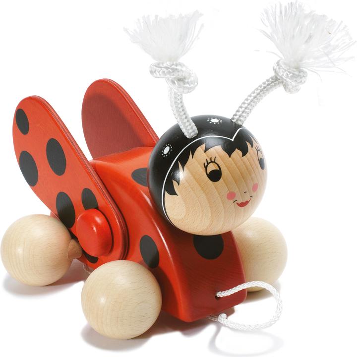 Immagine prodotto Weizenkorn Scarabeo Cécile con le ali