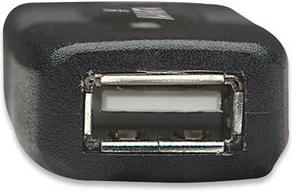 Produktbild Manhattan In Reihe schaltbar, A-Stecker / A-Buchse (10 m, USB 2.0, 2.50 W)