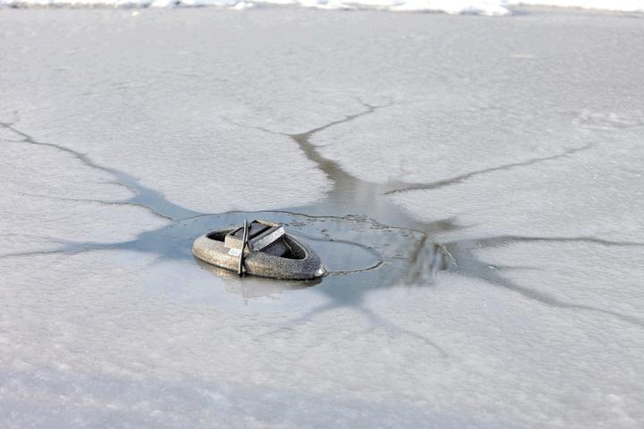 Actual product image Oase IceFree Thermo 330