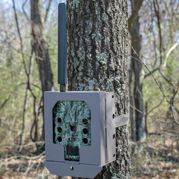 Produktbild Bushnell Trail camera security box