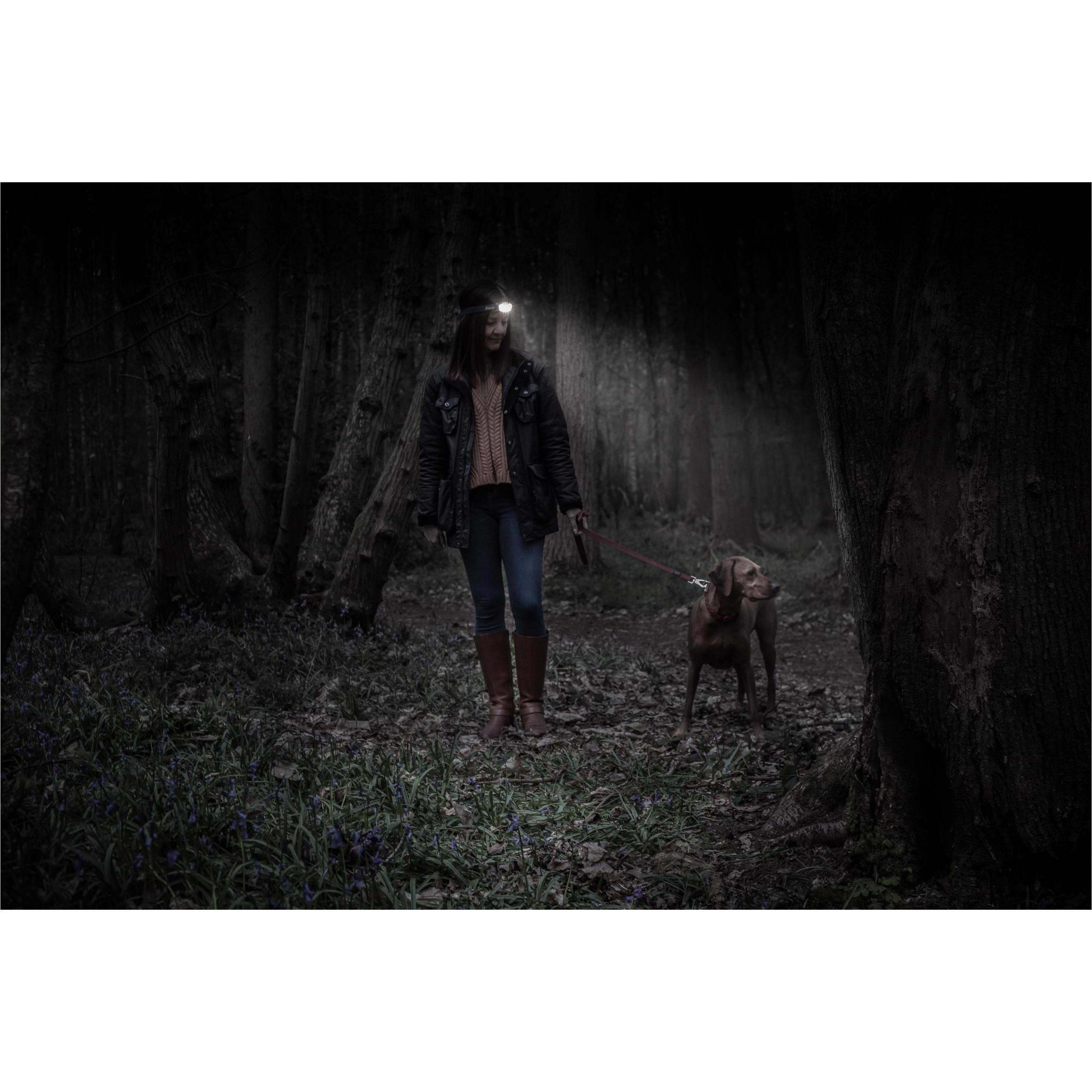 Thumbnail - Energizer, Stirnlampe, (125 lm)