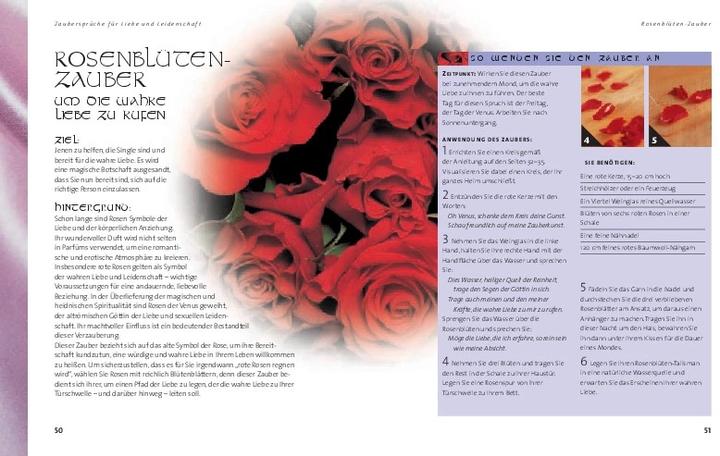 Actual product image Das grosse Buch der Zaubersprüche (German, Ann-Marie Gallagher, 2004)