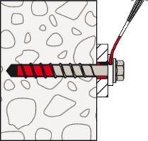Actual product image Fischer 558246 (50 Screws per piece)